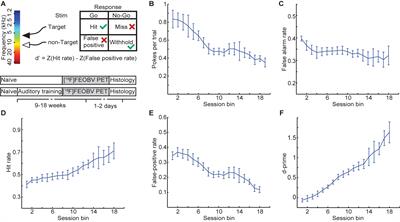 PET Imaging of Perceptual Learning-Induced Changes in the Aged Rodent Cholinergic System